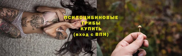 соль ск Костерёво