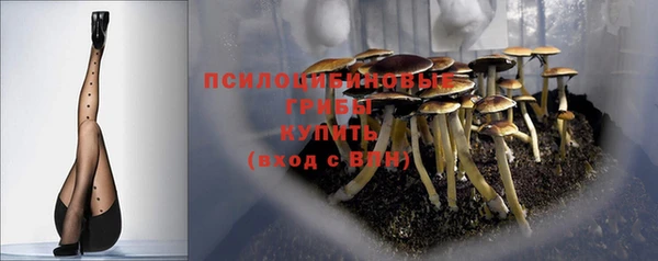 соль ск Костерёво