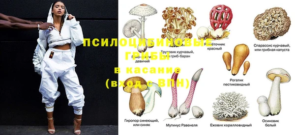соль ск Костерёво