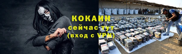 СК Корсаков