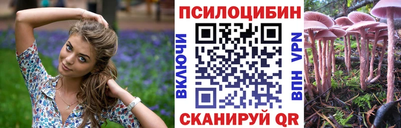 Купить  Красный Сулин  Галлюциногенные грибы MAGIC MUSHROOMS 
